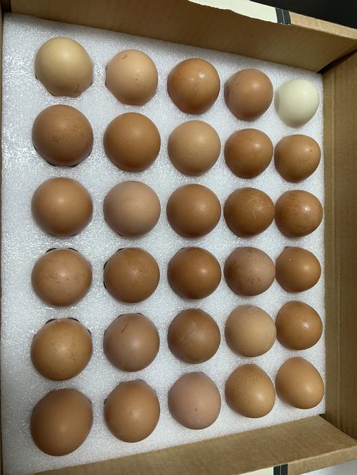 鸿翠园 溜达鸡的蛋 有机笨鸡蛋 有机食蔬饲喂  0饲料添加 商品图2