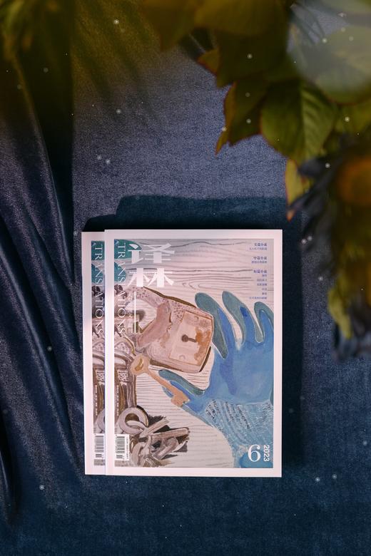《译林》杂志2023年第6期 商品图5