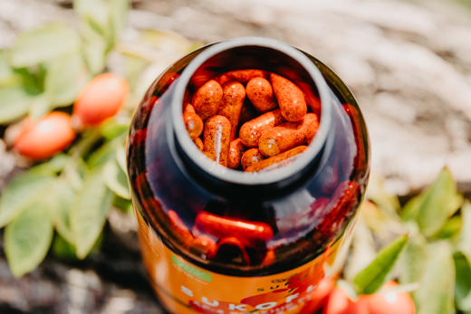 亢氧羙白亢炎！丹麦SUKO Nordic有机AP4玫瑰果200粒，高含量150000mg/瓶！来自有机认证种植园！含巨量VC提高兔疫力！1岁以上就能吃！日期27年3月 商品图7