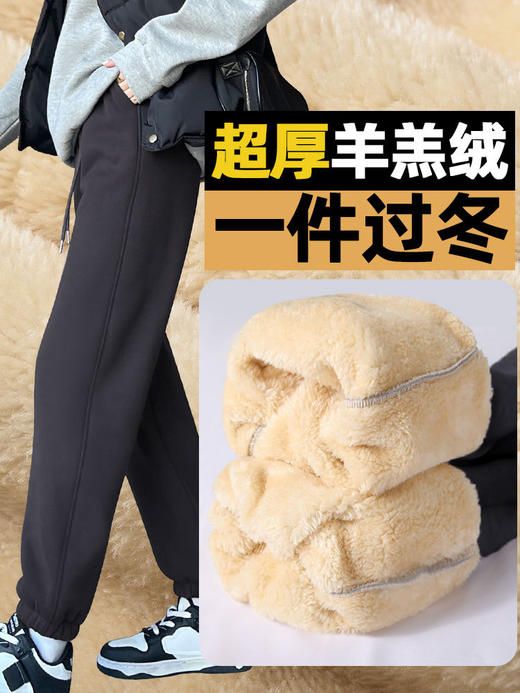 【YW】无忧购韩版休闲束脚羊羔绒加厚运动裤Z369（截单后3-5天发货) 商品图2