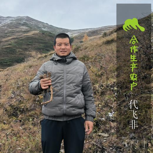 生态党参  |合作生产 * Wild Codonopsis pilosula in plateau | Coproducted 商品图1