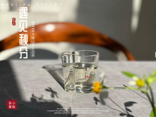 【2023秋分茶】汤水清透，白毫浮游，秋白茶的独一份清甜（1斤收藏装） 商品图12