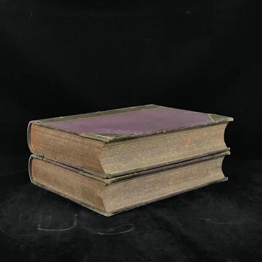 约19世纪后期 格拉斯通传（全2卷） 约百幅插图 真皮精装16开 商品图1