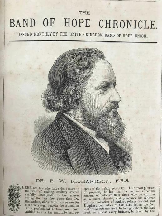 1881-1882年 缔结希望杂志 配插图 漆布精装18开 商品图2