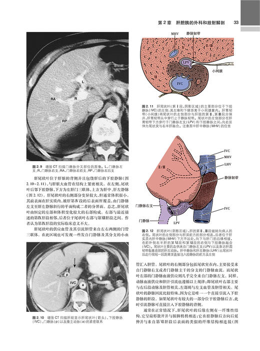 Blumgart肝胆胰外科学 第6版 上下2卷 陈孝平主译 肝脏胆道和胰腺病理学诊断手术非手术干预前沿指导 人民卫生出版社9787117338325 商品图3