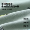 3部顶瓜瓜超跑俱乐部男童内衣套装DTZNY-AP6114 商品缩略图4
