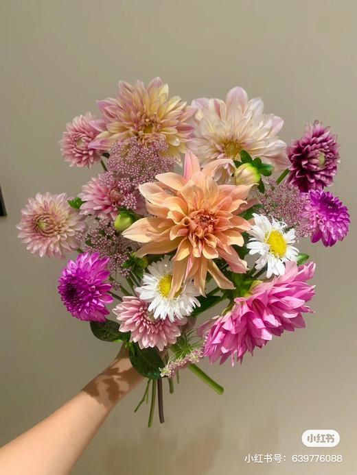 配花 | 大丽花随机 商品图3