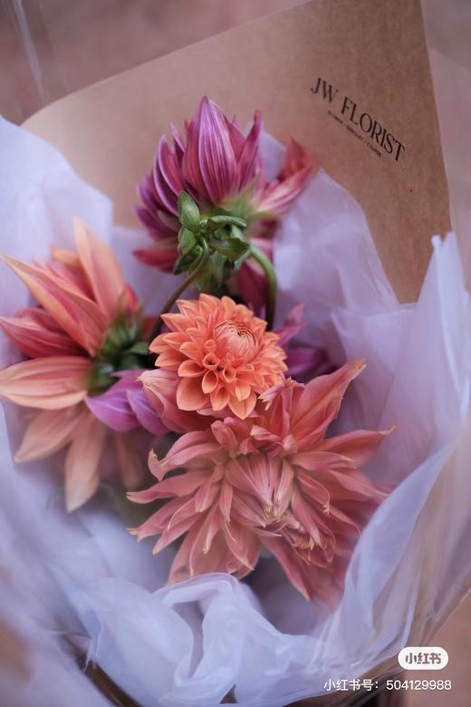 配花 | 大丽花随机 商品图2