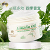澳芝曼澳洲进口绵羊油维E保湿面霜润肤霜身体乳护手霜250g 商品缩略图2