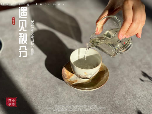 【2023秋分茶】汤水清透，白毫浮游，秋白茶的独一份清甜（60克装） 商品图7