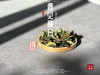【2023秋分茶】汤水清透，白毫浮游，秋白茶的独一份清甜（1斤收藏装） 商品缩略图0