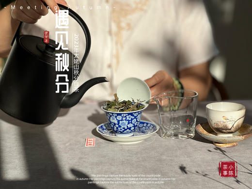 【2023秋分茶】汤水清透，白毫浮游，秋白茶的独一份清甜（1斤收藏装） 商品图7