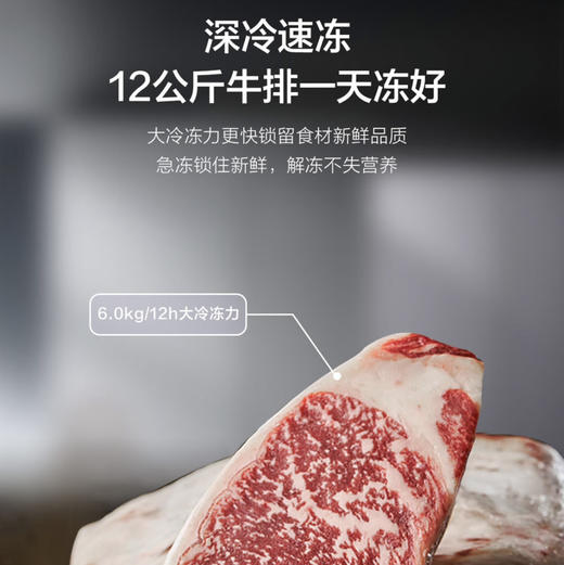 海尔（Haier）冰箱BCD-468WGHFD5DSMU1 商品图9