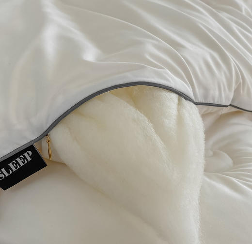 【双旦秒杀】自然醒蜻蜓刺绣大豆被轻奢款四季被子春秋被超柔冬被LFS（不参与优惠券） 商品图11