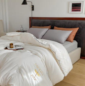 【双旦秒杀】自然醒蜻蜓刺绣大豆被轻奢款四季被子春秋被超柔冬被LFS（不参与优惠券）