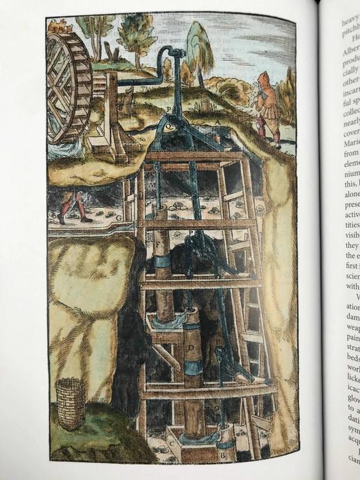 理查德·福提《地球简史》（2011） 百余幅彩色插图 精装16开带书匣 商品图5