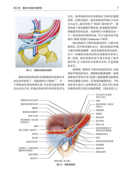 腹股沟疝修补 解剖原理与技术 附视频 嵇振岭 樊友本译 手术局部解剖手术原则技巧 基本外科处理方法 人民卫生出版社9787117350723 商品图3