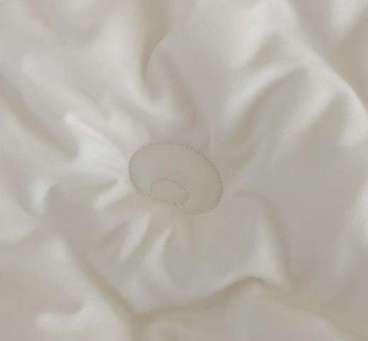 【双旦秒杀】自然醒蜻蜓刺绣大豆被轻奢款四季被子春秋被超柔冬被LFS（不参与优惠券） 商品图9