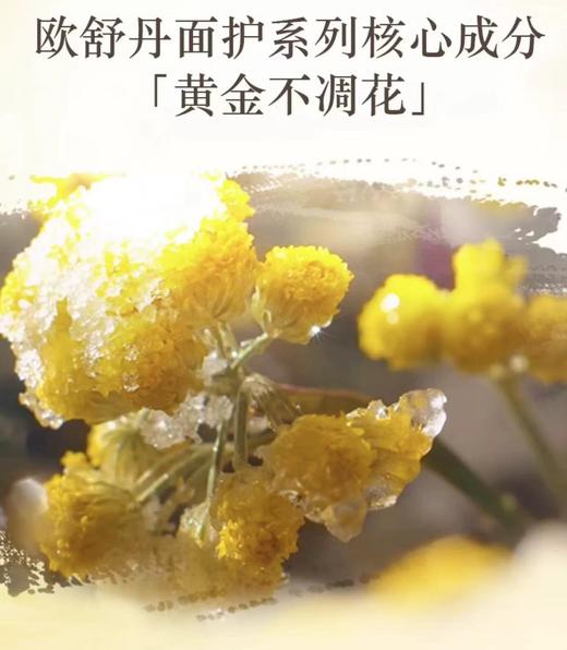 欧舒丹·蜡菊赋颜御龄精华系列 #霜50ml#水200ml 商品图6