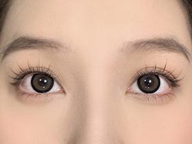 Claire color日抛美瞳 多肉春卷 14.5mm