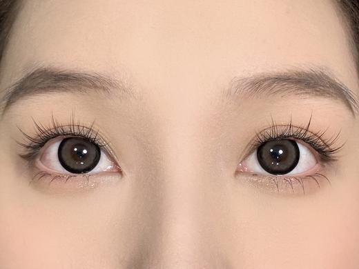 Claire color日抛美瞳 多肉春卷 14.5mm 商品图0