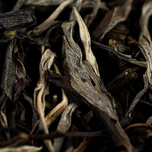 8月30日早9点【五年陈布朗山散茶】2017年布朗正山头春头采勐海干仓五年陈化福利防漏250克/盒每2盒送手提袋 商品图5