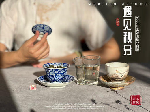 【2023秋分茶】汤水清透，白毫浮游，秋白茶的独一份清甜（1斤收藏装） 商品图10