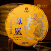 【圣兽—凤凰】冰岛茶区用料之巅19年存世茶王珍贵稀缺原料新品上新神兽事业部独立出品稀世配方旗舰品茗每提内含7饼357克茶饼 商品缩略图5