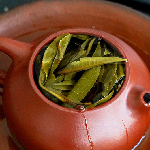 【薄荷塘黄金砖】2022年薄荷塘单株稀缺古树资源普洱茶生茶易武茶区深山中的金叶子250克/砖 商品图5