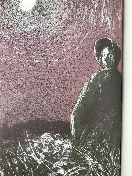 夏洛蒂·勃朗特《维莱特》 12幅彩色插图 精装18开带书匣 商品图8