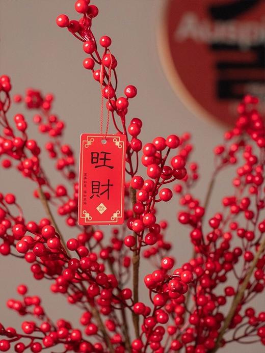 【年宵花热卖】仿真大果红冬青/大果1.4mm/单叉12果/6叉/9叉/11叉/12叉 商品图1