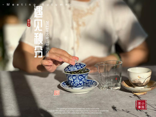 【2023秋分茶】汤水清透，白毫浮游，秋白茶的独一份清甜（60克装） 商品图3