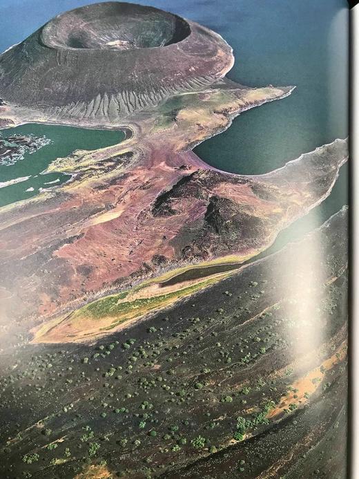 理查德·福提《地球简史》（2011） 百余幅彩色插图 精装16开带书匣 商品图12