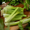 生态西芹 | 合作生产* Ecological celery | Coproduction 商品缩略图3