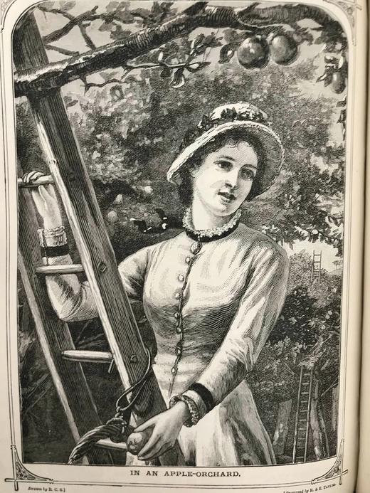 1887年 家庭箴言杂志 约百幅插图 漆布精装16开 商品图14