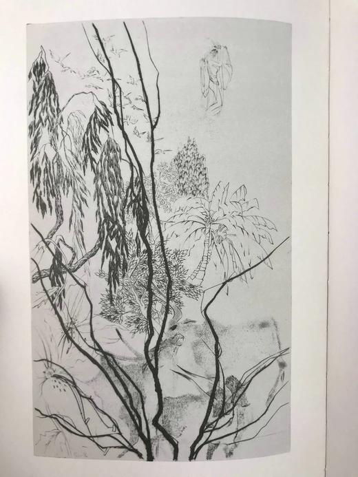 圣典·雅歌 6幅铜版画插图 精装大16开带书匣 商品图5