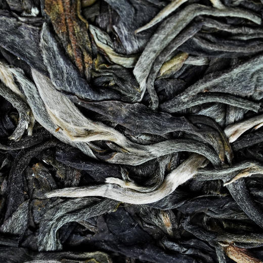 【薄荷塘黄金砖】2022年薄荷塘单株稀缺古树资源普洱茶生茶易武茶区深山中的金叶子250克/砖 商品图1