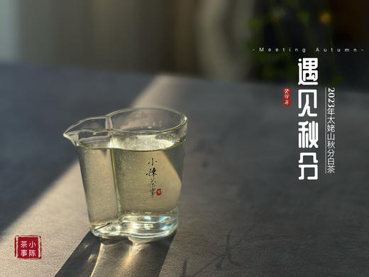 【2023秋分茶】汤水清透，白毫浮游，秋白茶的独一份清甜（60克装） 商品图13