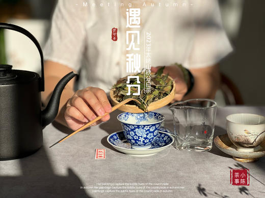 【2023秋分茶】汤水清透，白毫浮游，秋白茶的独一份清甜（1斤收藏装） 商品图6