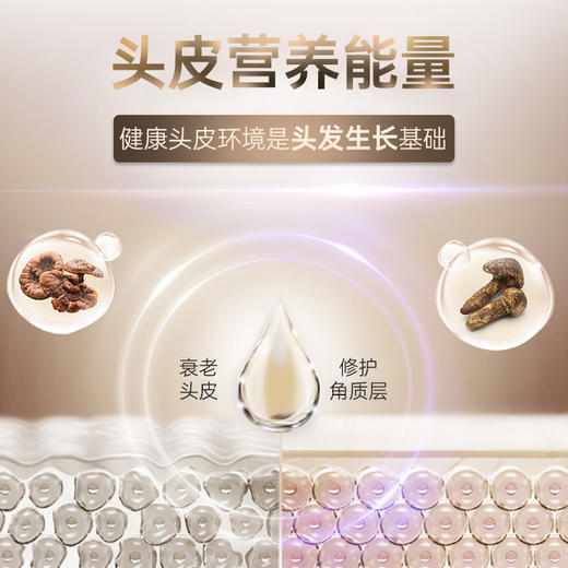 吕（Ryo）韩国进口黑吕莹韧滋养洗发水400ml 调理头皮 强韧发丝 商品图5