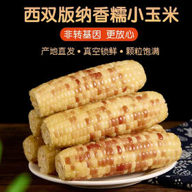 凝糯甜糯小玉米礼盒2公斤10-13支