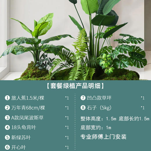 天堂鸟龟背竹旅人蕉芭蕉组合仿真绿植大型植物装饰室内公司空间造景景观橱窗造景装饰隔断上门安装布置 商品图4