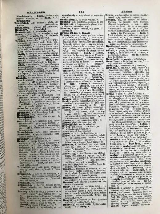 约19世纪后期 加斯克英法辞典 真皮精装大32开 商品图5