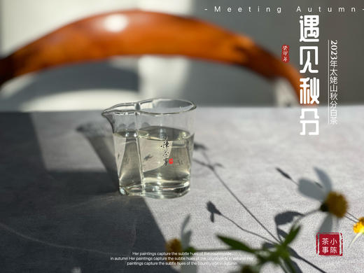 【2023秋分茶】汤水清透，白毫浮游，秋白茶的独一份清甜（60克装） 商品图10