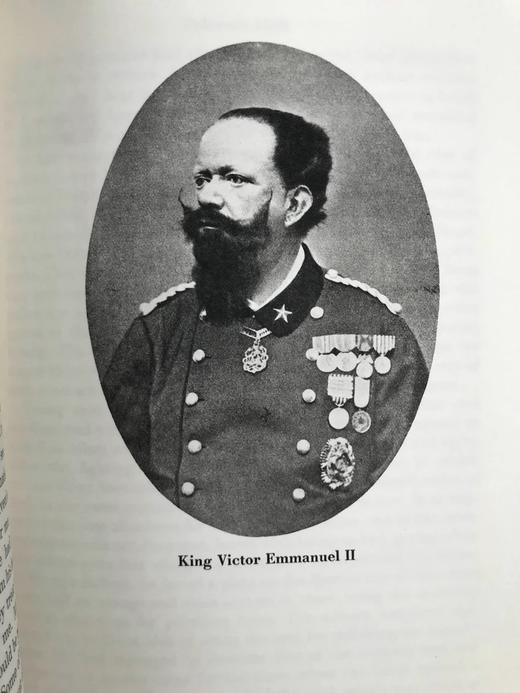 为自由而战：巴勒莫1860 12幅插图 精装18开带书匣 商品图13