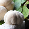 【新鲜高山猴头菇】 鲜美山珍，鲜嫩，味美，好吃又养胃 商品缩略图0