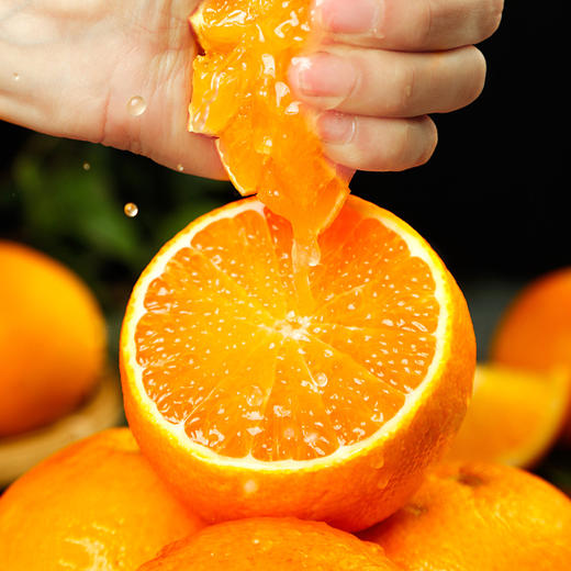 赣南脐橙【精品果】 新鲜应季水果鲜甜多汁回味无穷  10斤 商品图1