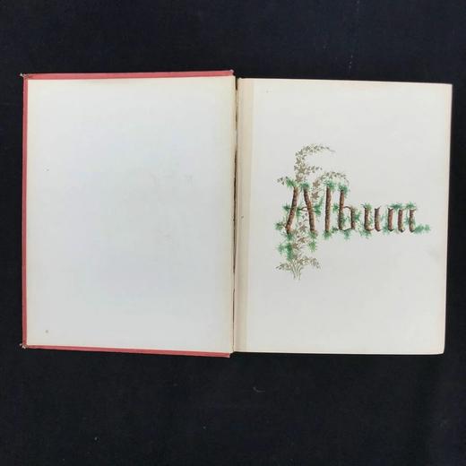 1869年 我的纪念册 漆布精装32开 商品图5