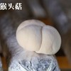 【新鲜高山猴头菇】 鲜美山珍，鲜嫩，味美，好吃又养胃 商品缩略图6