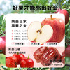 喜善花房 苹果山楂膏210g(10g*21条)/2桶共42条送太阳花种子1份 商品缩略图2